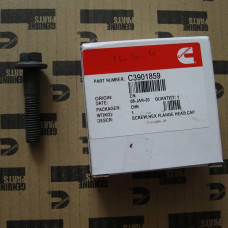Болт (M12x1.75x55) стартера C3901859