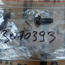 Болт (M10x1.50x25) 3070393F