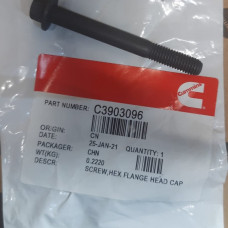 Болт (M8х1.25х70) C3903096