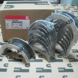 Вкладыш корень м/к Р1 (0,25) 4955860, 3802071 6ISBe